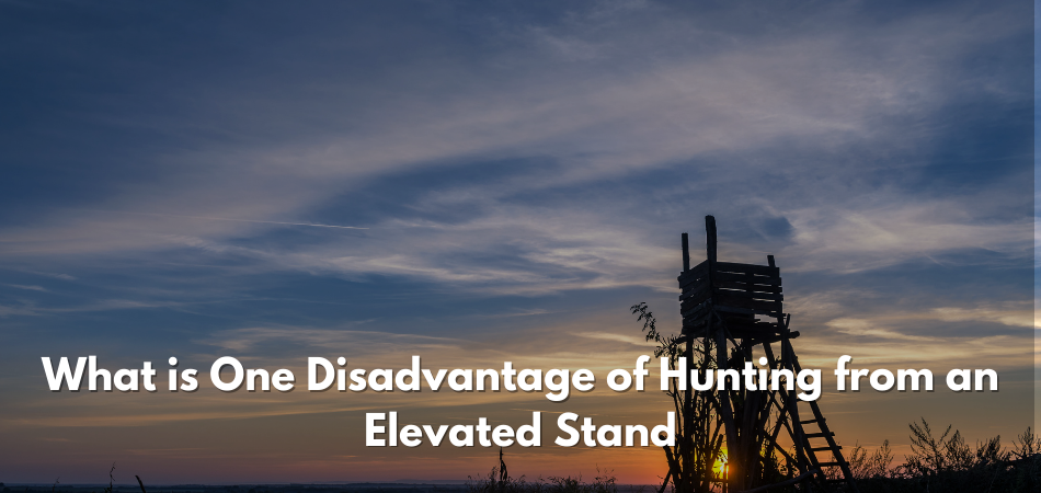 What is One Disadvantage of Hunting from an Elevated Stand