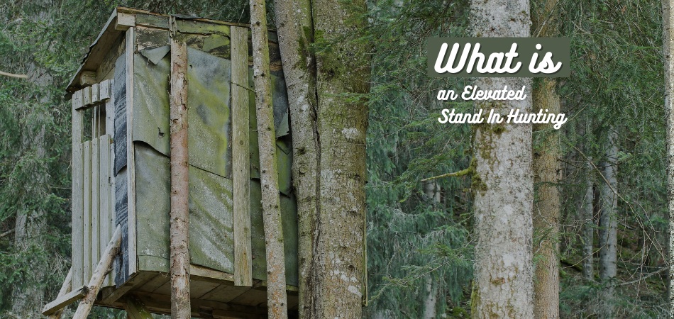 What is an Elevated Stand In Hunting